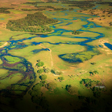 Brasil, una historia natural